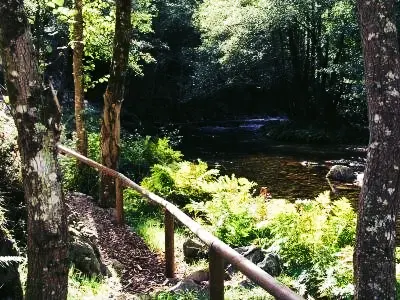 RUTA FOCES DE ESVA
