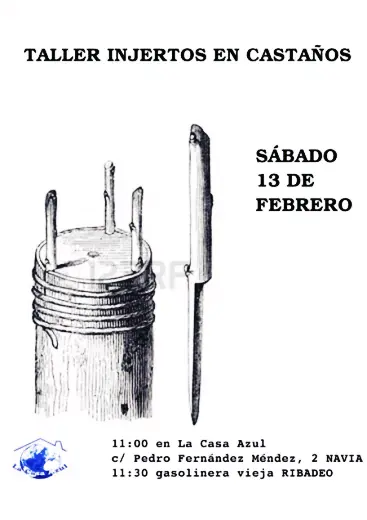 Taller de Injerto de Castaños