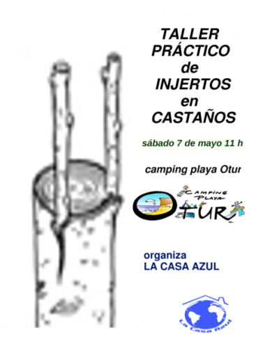 Taller práctico de injertos en castaños