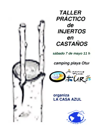 Taller práctico de injertos en castaños
