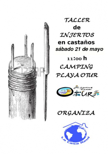 Taller práctico de injertos en castaños