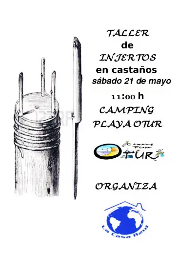 Taller práctico de injertos en castaños