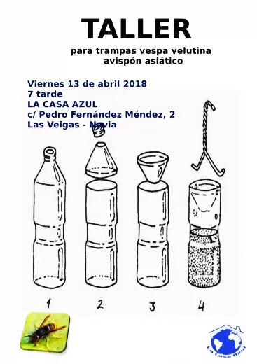taller contra la vespa velutina