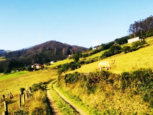 Itinerario Caminando por a Vida.