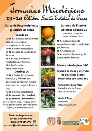 Jornadas Micológicas en Santa Eulalia de Oscos