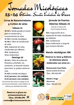 Jornadas Micológicas en Santa Eulalia de Oscos