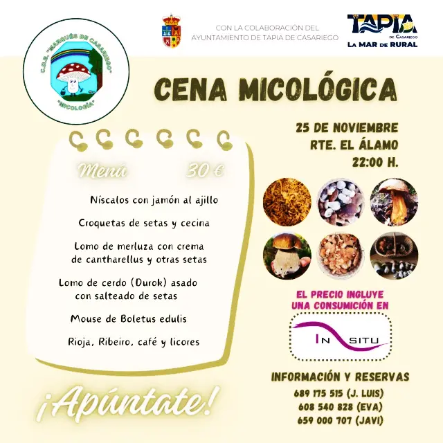 Cena micológica/alternativa