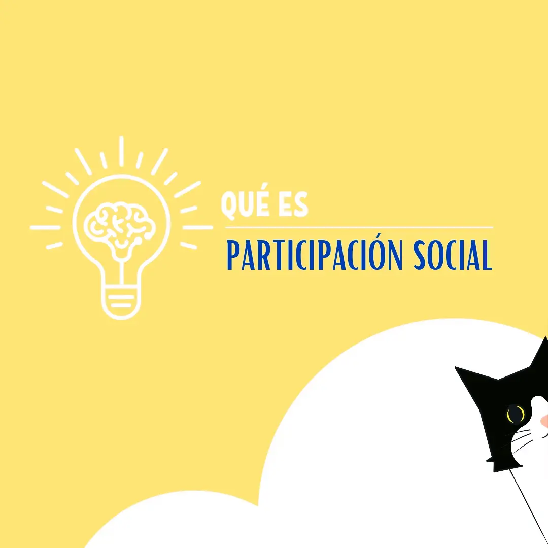 ¿PARTICIPACIÓN SOCIAL?