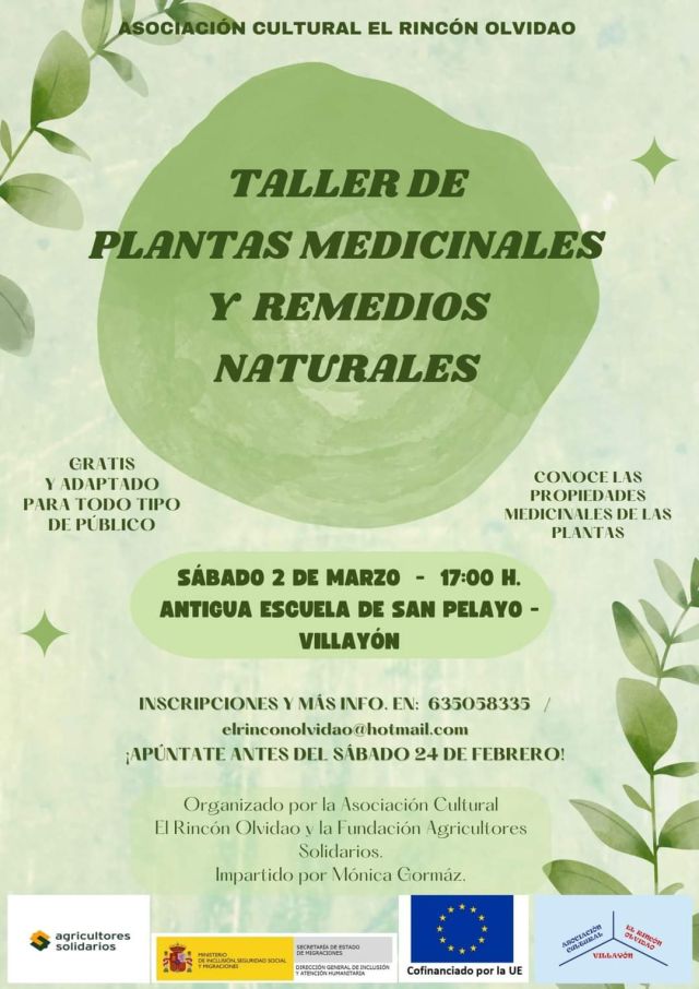 TALLER DE PLANTAS MEDICINALES Y REMEDIOS NATURALES