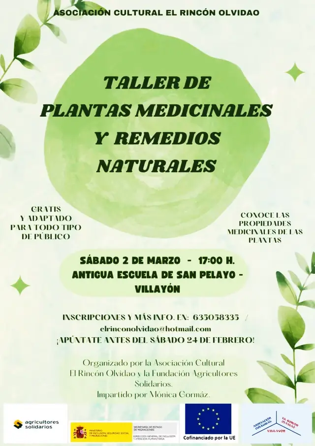 TALLER DE PLANTAS MEDICINALES Y REMEDIOS NATURALES