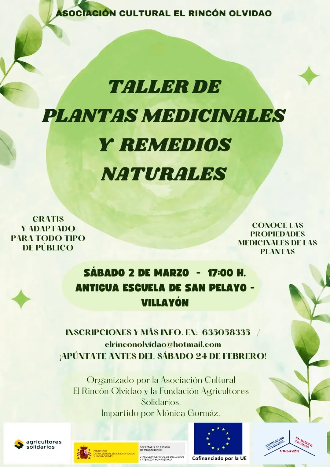 TALLER DE PLANTAS MEDICINALES Y REMEDIOS NATURALES