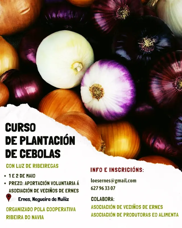 Curso de Plantación de Cebollas